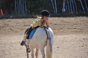 Pony Rideskole